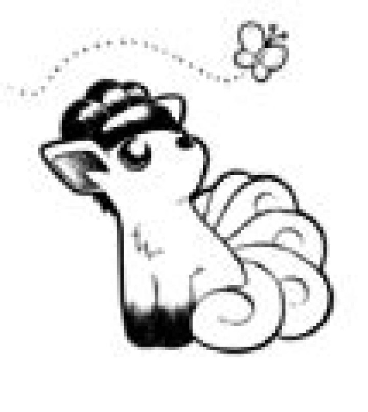 Category:Vulpix - Bulbagarden Archives