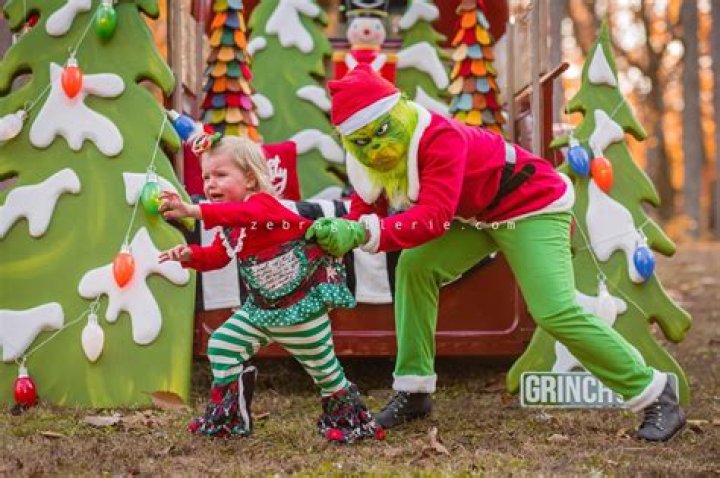 Meet-n-Greet Santa and Grinch Sessions and Photo Shoot