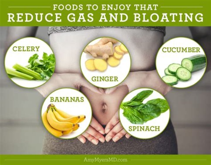 Prevent Bloating: 20 Foods and Drinks That Help | Signos